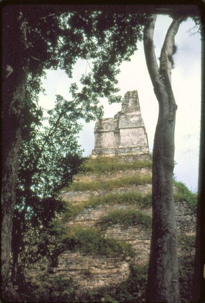 Temple of the Inscriptions by Guatemalan School