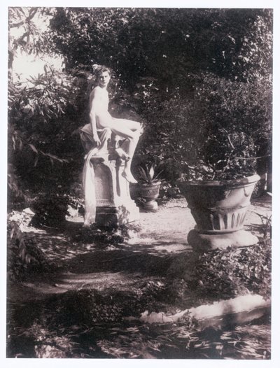 Photograph by Guglielmo (1852 1930) Plüschow