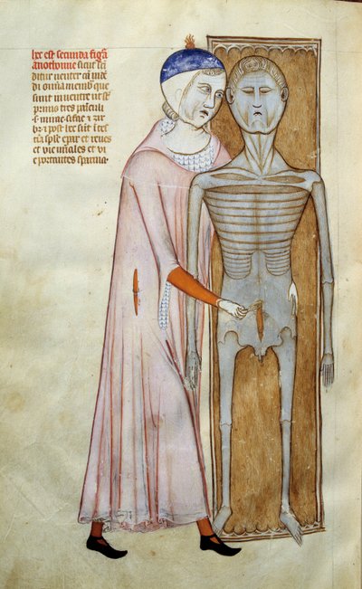 Anatomy and Surgical Board Representing a Dissection Scene by Guido da Vigevano da Pavia