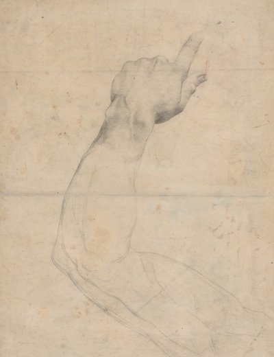 Study of an Arm by Guillaume Lethiere