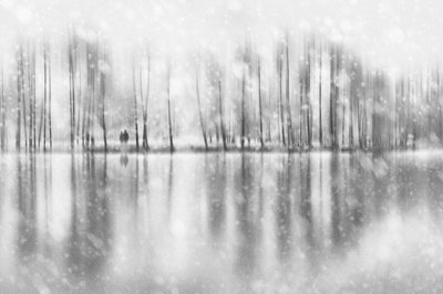 Winter Couple Reflection by Gustav Davidsson