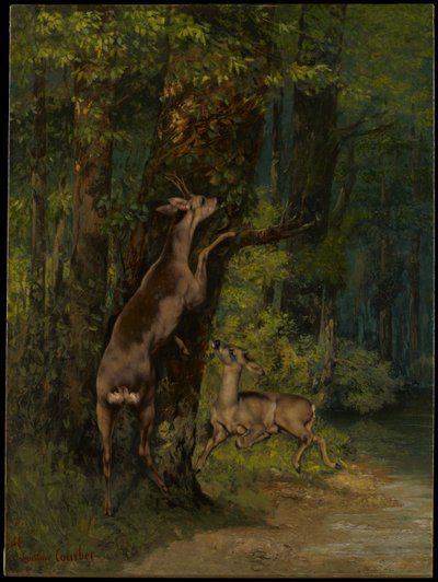 Deer in the Forest by Gustave Courbet