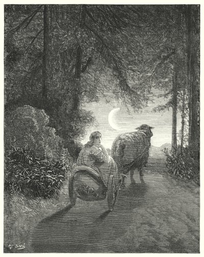Donkey Skin (engraving) by Gustave Dore
