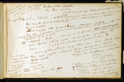 Folio 41 of the Workbook No. 19 Manuscript Page of Gustave Flaubert