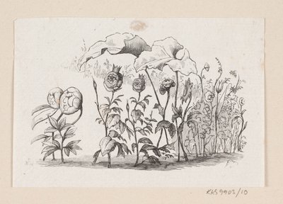 Illustration for 