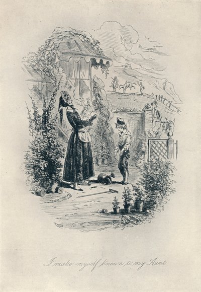 I Make Myself Known to My Aunt. Etching from David Copperfield by Hablot Knight Browne