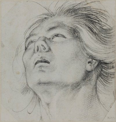 Head of a Young Man, Seen From Below by Hans Baldung Grien