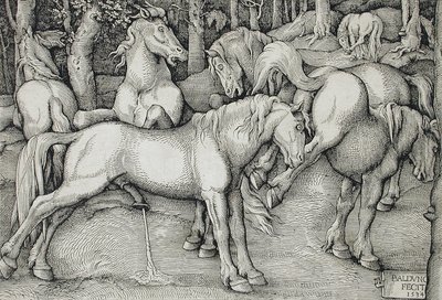 Stallion and Mare in a Group of Wild Horses in the Forest by Hans Baldung Grien