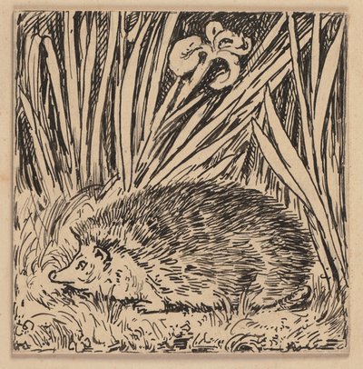 Drawing for the Primer: Hedgehog by Hans Thoma