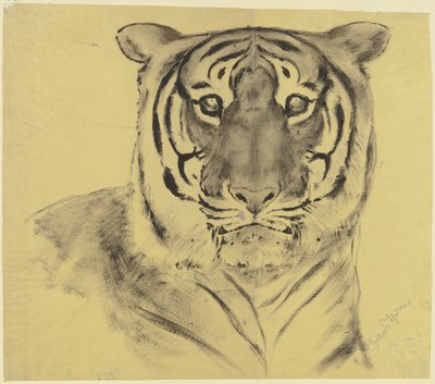 Tiger by Hans Thoma
