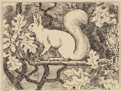 Drawing for the Primer: Squirrel by Hans Thoma