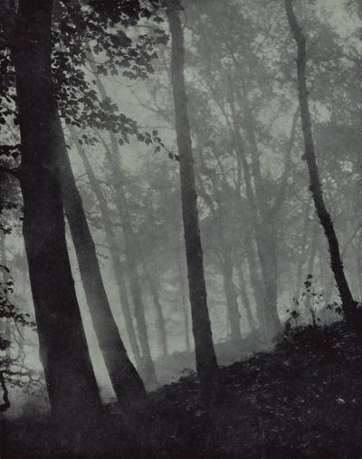 Arched Walks of Twilight Groves and Shadows Brown of Pine, or Monumental Oak, Milton by Harold Burdekin