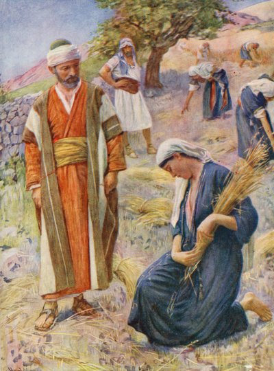 Old Testament: Ruth Gleaned in the Field by Harold Copping