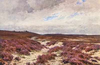 Frensham Common by Harold Sutton Palmer