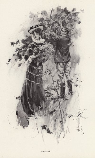 Woman picking flowers with a male admirer by Harrison Fisher
