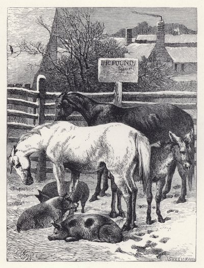Animals in the Pound by Harrison William Weir