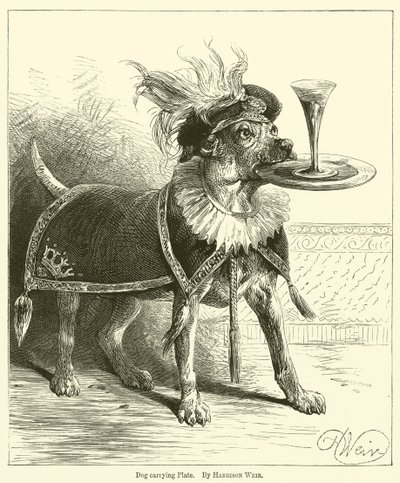 Dog Carrying Plate by Harrison William Weir