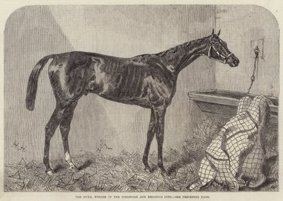 The Duke, Winner of the Goodwood and Brighton Cups by Harry Hall