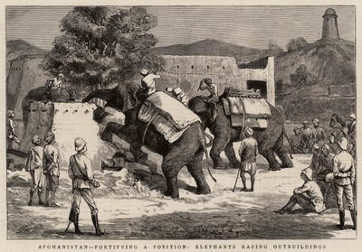 Afghanistan, fortifying a Position, Elephants razing Outbuildings by Harry Hamilton Johnston
