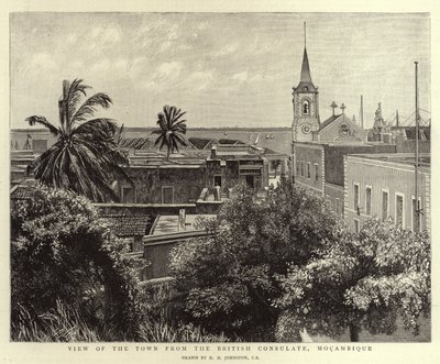 View of the Town from the British Consulate, Mozambique by Harry Hamilton Johnston