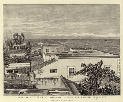 View of the Town of Mocambique from the British Consulate by Harry Hamilton Johnston