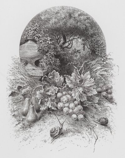 The Insect: Snails by Hector Giacomelli