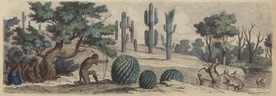 Colorado by Heinrich Leutemann
