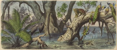 Flooding in Eastern India by Heinrich Leutemann