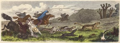 Hunting puma with lassos in Brazil by Heinrich Leutemann