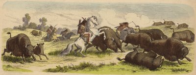 Native Americans on Horseback Hunting Buffalo (Coloured Engraving) by Heinrich Leutemann