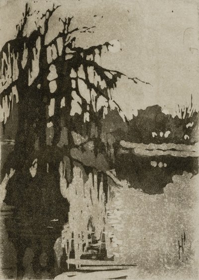 Cypress Trees by Helen Hyde