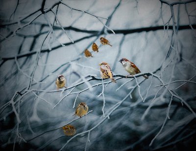 Teeming with Life by Helen White