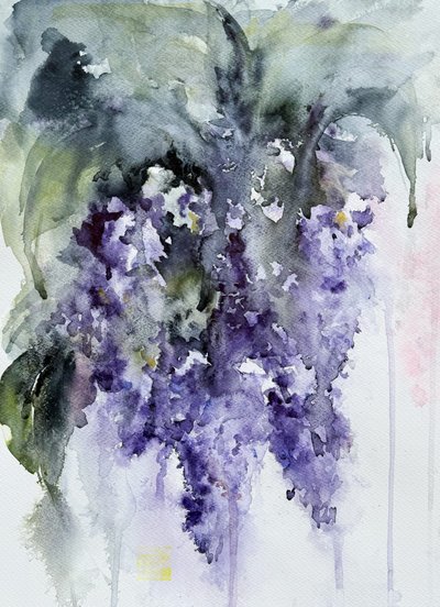 Soft Purple Wisteria by Helena Ryhle