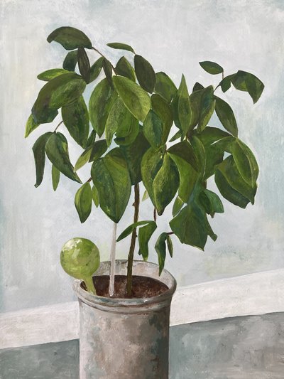 Still Life Potted Plant by Heléne Sikdal