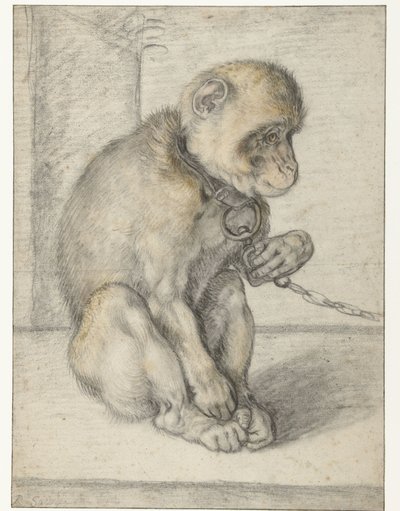 A Seated Monkey on a Chain by Hendrick Goltzius
