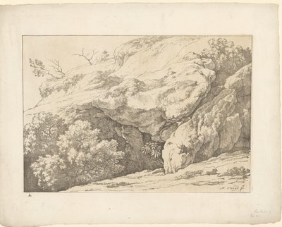 Rocks with Shrubs by Hendrik Voogd