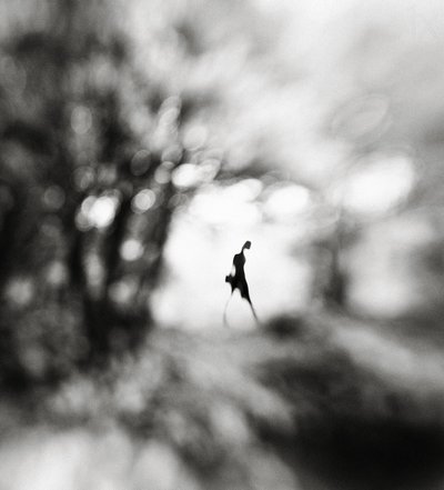 Ethereal Lone Figure by Hengki Lee