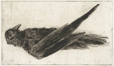 The Large Hanging Raven by Henri-Charles Guérard