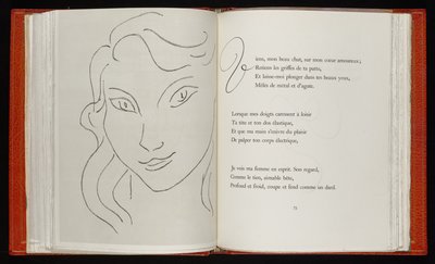 Flowers of Evil by Henri Matisse