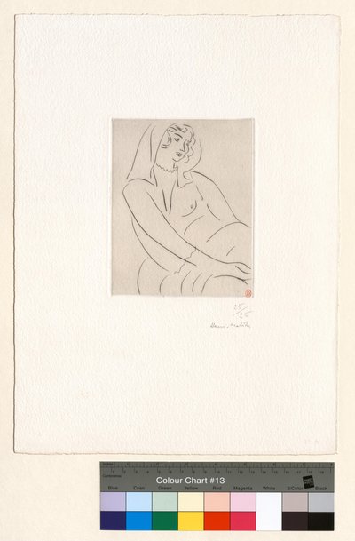 Young Woman, Veil on the Head by Henri Matisse