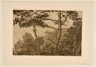 [Trees in a Rain Shower] by Henri Rivière