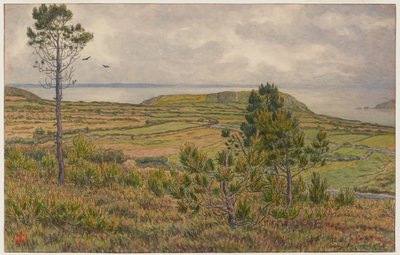 Bay of Douarnenez. Morgat by Henri Rivière