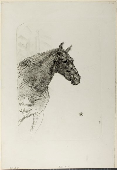 Philibert the Pony by Henri de Toulouse-Lautrec