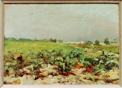 View of the Vineyards by Henri de Toulouse-Lautrec