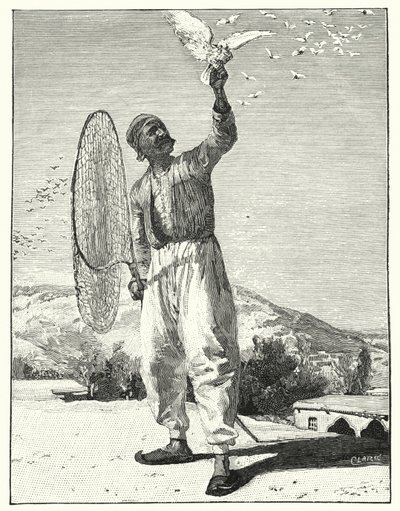 Snaring birds in housetop in the East by Henry Andrew Harper