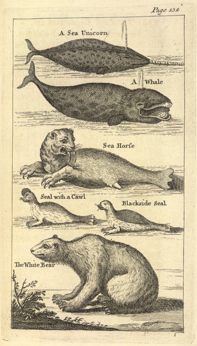 Several Creatures, from A Voyage to Hudson