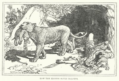How the Lioness Saved Malchus by Henry Justice Ford
