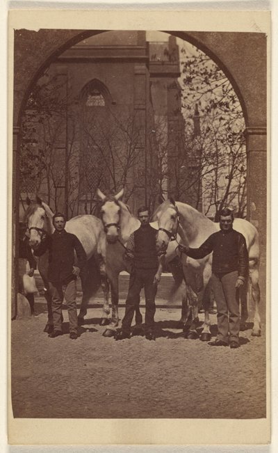 Three Men Posing with Three White Horses by Henry Pointer