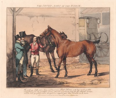 Set of Seven: The Seven Ages of the Horse by Henry Thomas Alken