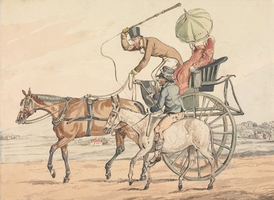 Sporting Discoveries, or the Miseries of Driving: You Discover You Have Obtained a Steady One by Henry Thomas Alken